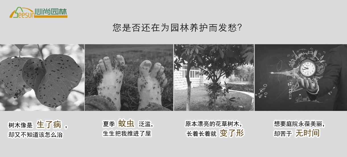 1066vip官网 (中国)威尼斯有限公司
