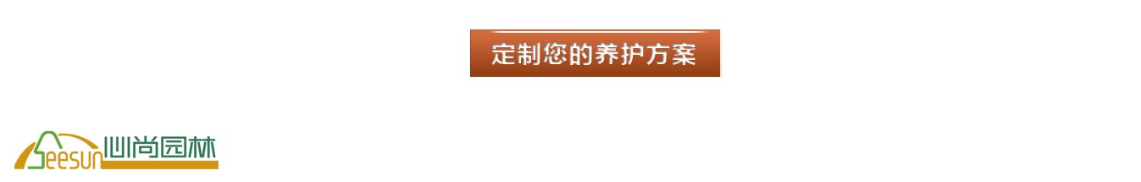 1066vip官网 (中国)威尼斯有限公司